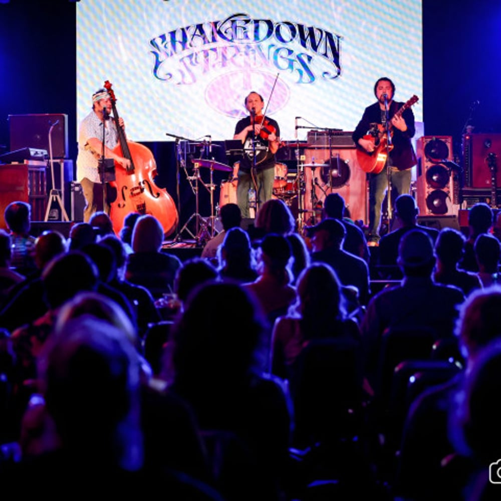 Profile thumbnail image for Shakedown Strings