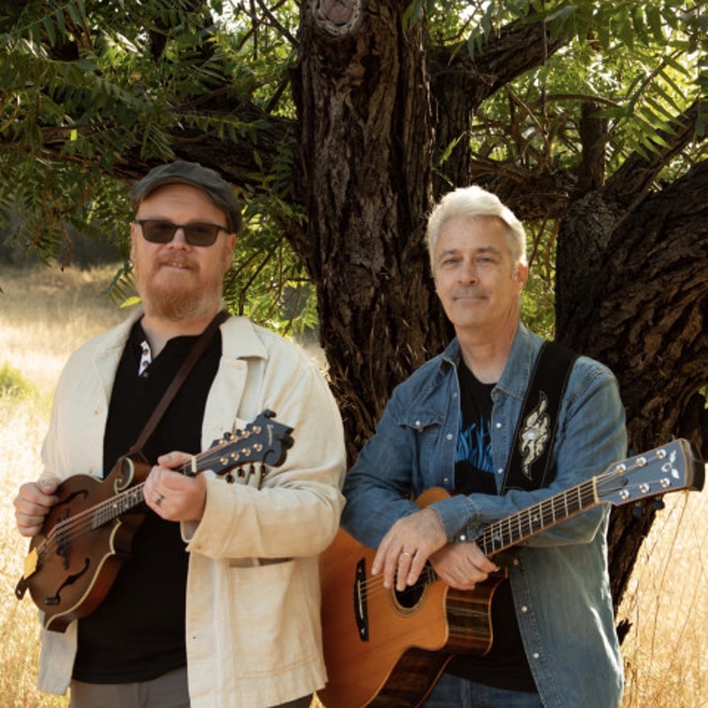 Profile thumbnail image for Silvergrass