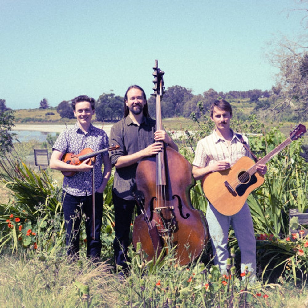 Profile thumbnail image for Sitka