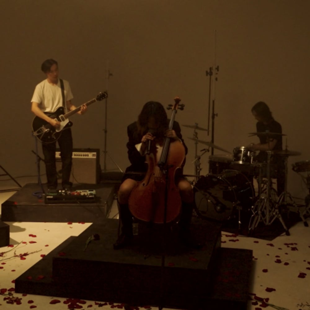 Profile thumbnail image for Sofya Wang - Live Music / Strings