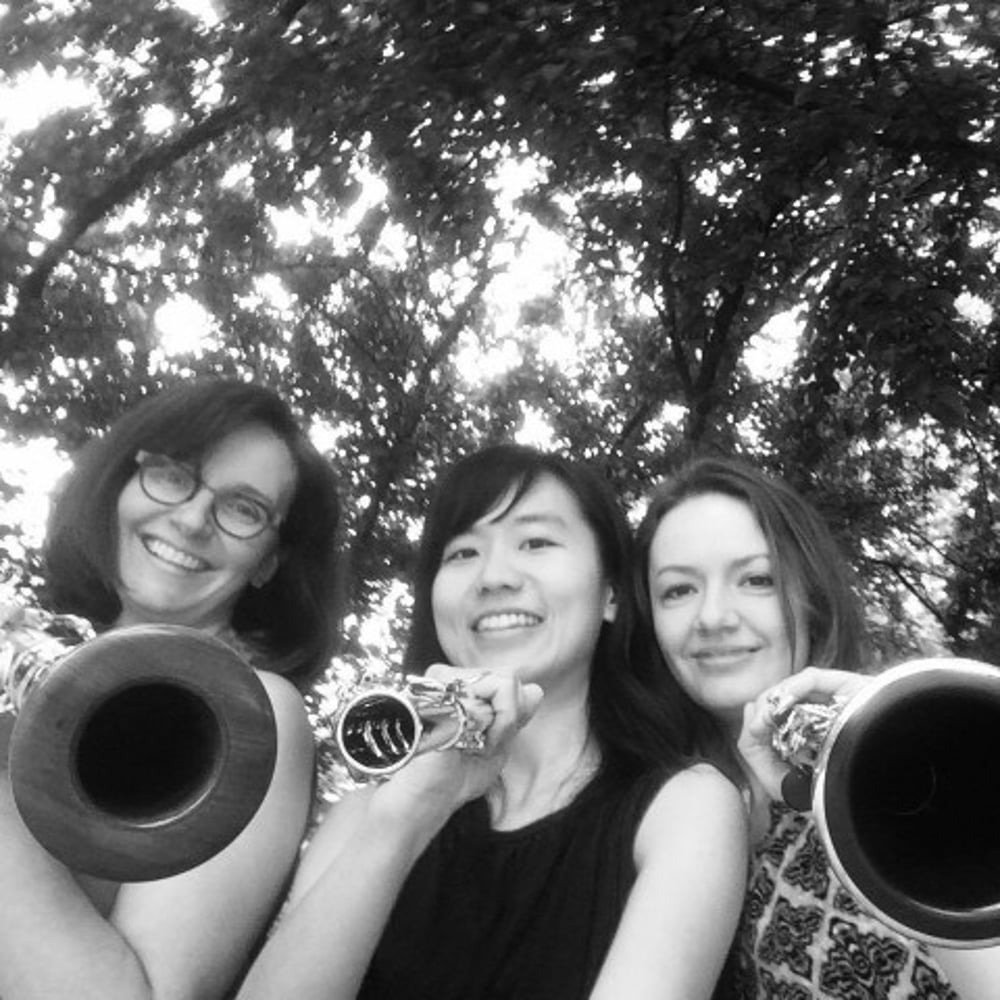 Profile thumbnail image for Sonora Trio