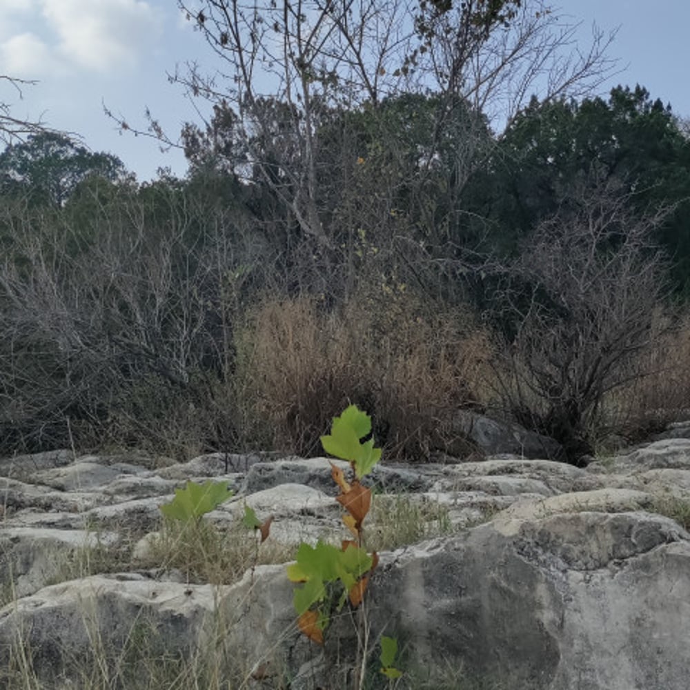 Profile thumbnail image for Spiritual Counseling