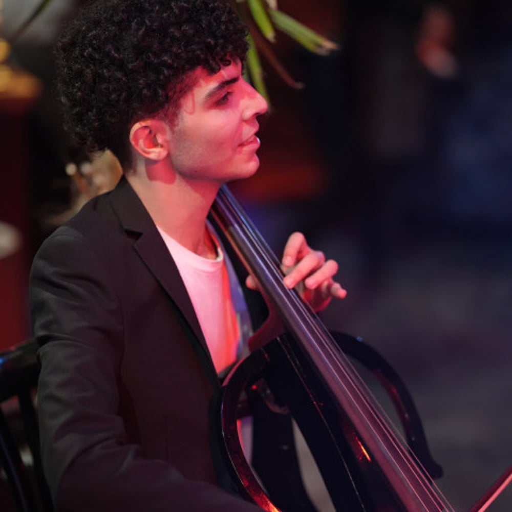 Profile thumbnail image for Stamboltsyan Cellist