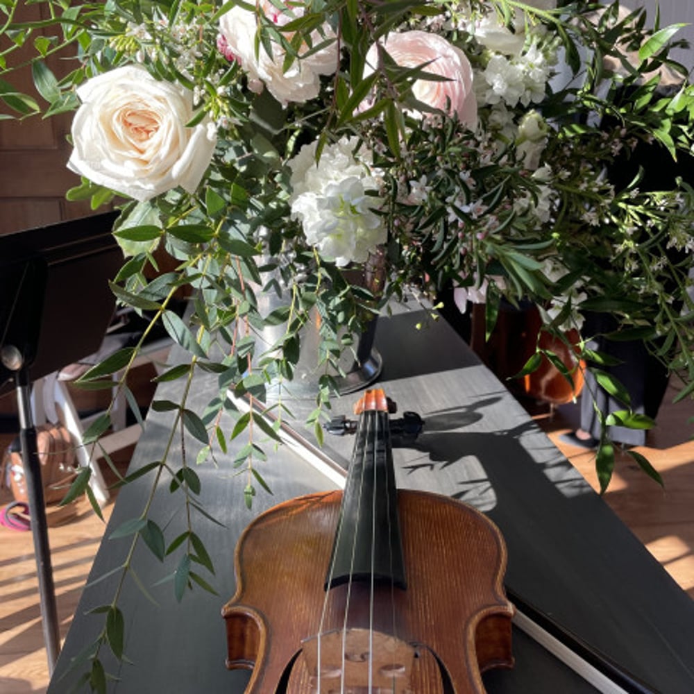 Profile thumbnail image for Stanton Strings