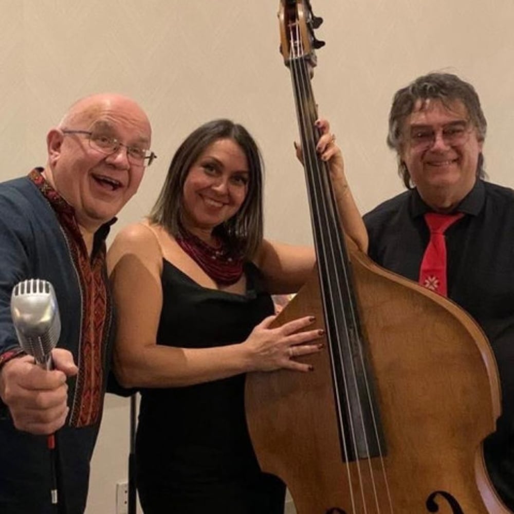 Profile thumbnail image for StarDust Jazz Trio