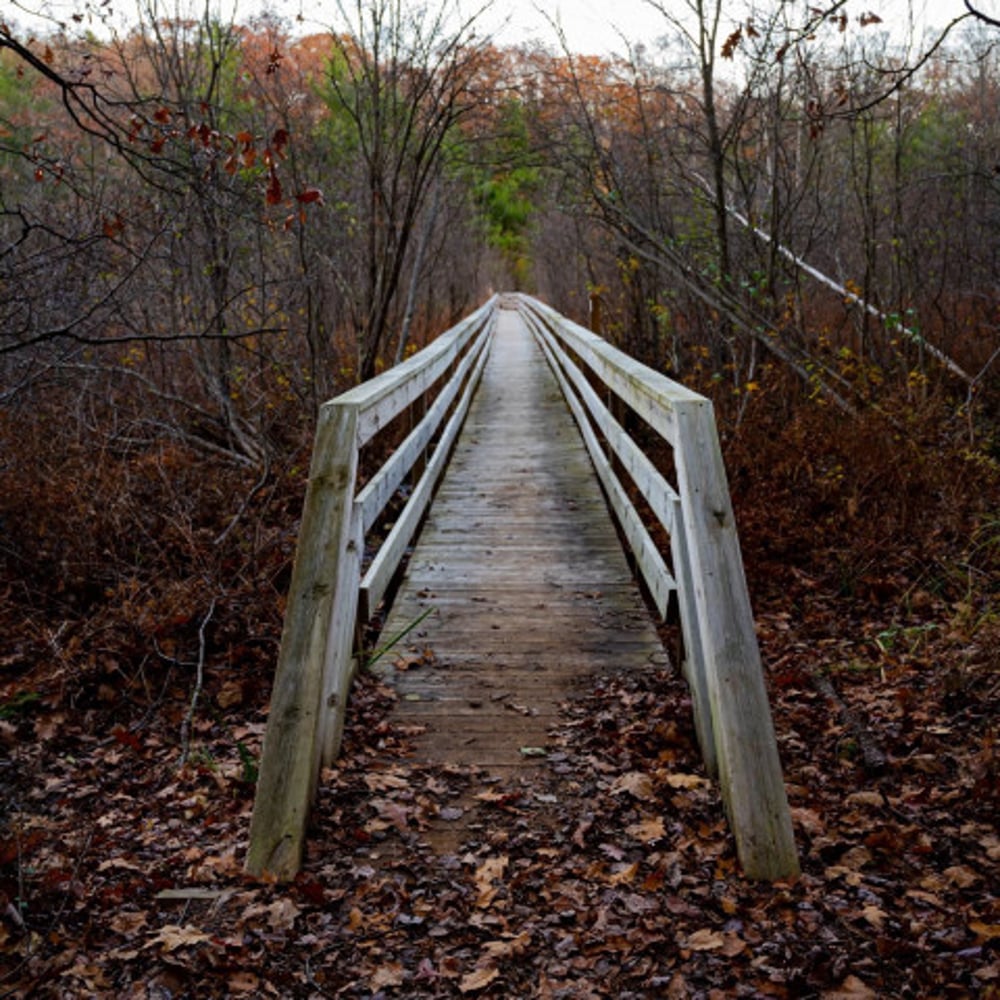 Profile thumbnail image for Stargazer Studios Photography
