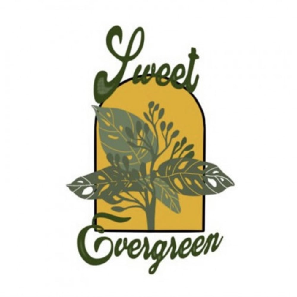 Profile thumbnail image for Sweet Evergreen