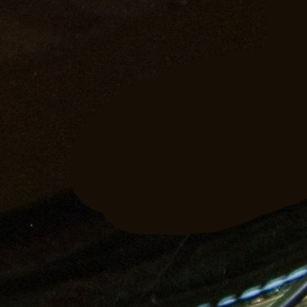Profile thumbnail image for The Faze Band