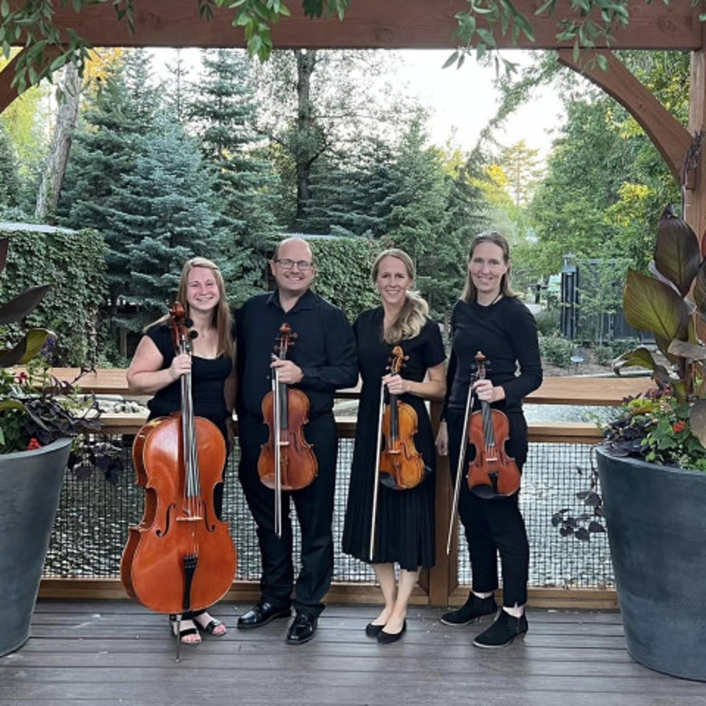 Profile thumbnail image for The Maywood String Ensemble
