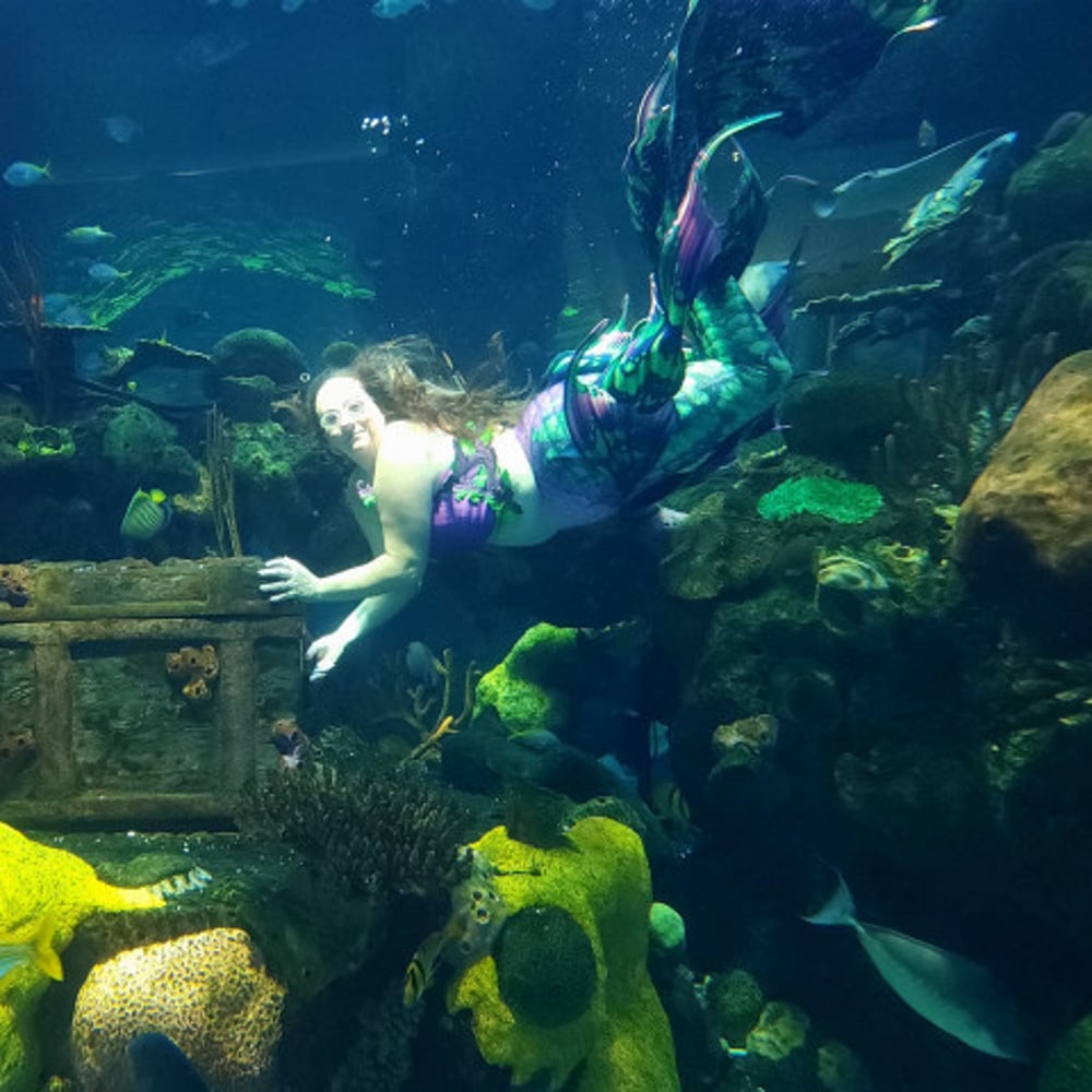 Profile thumbnail image for The Mermaids of Lake Pleasant