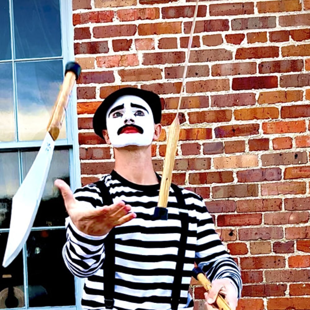 Profile thumbnail image for The Mime Cat Burglar Act! 🤹