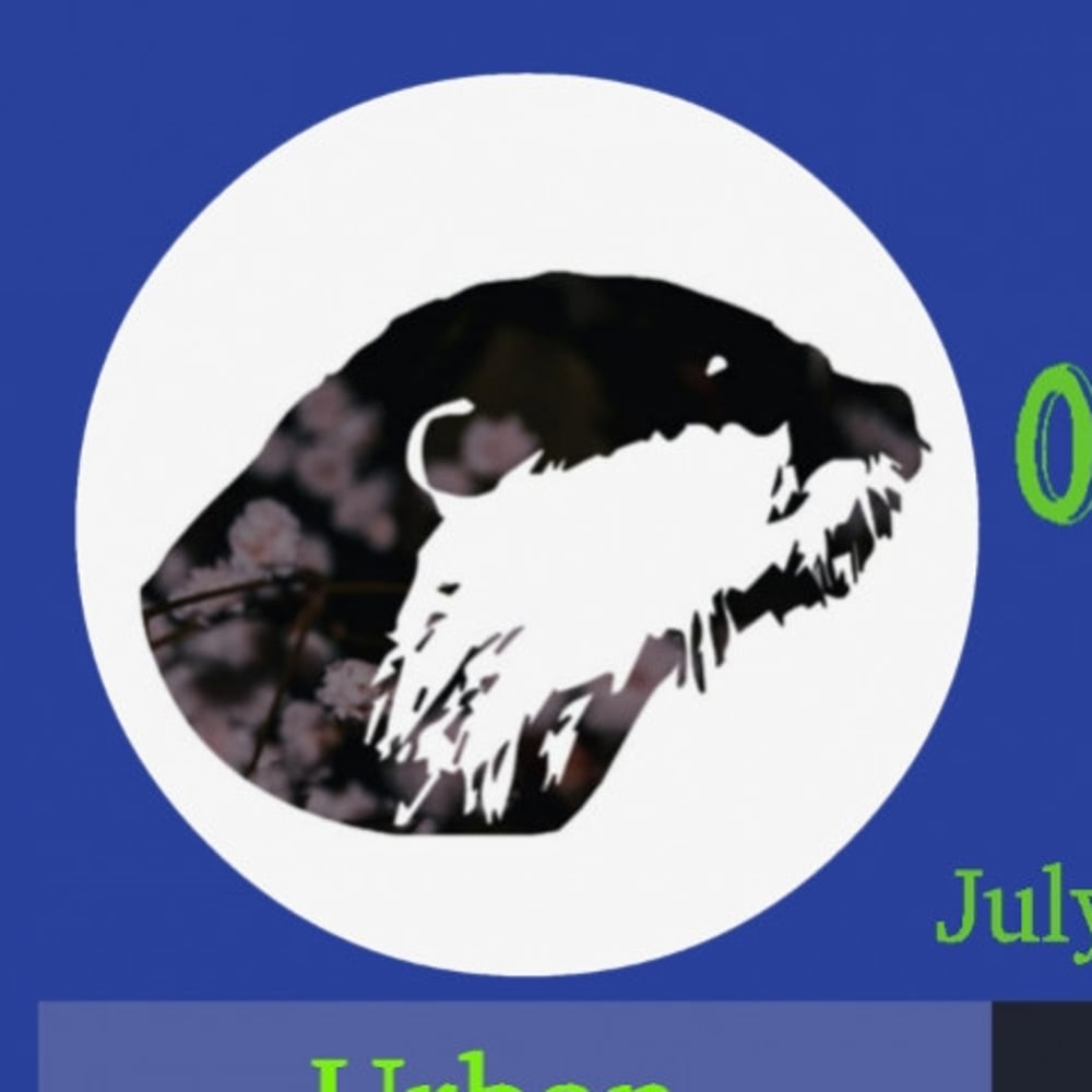 Profile thumbnail image for The Odders