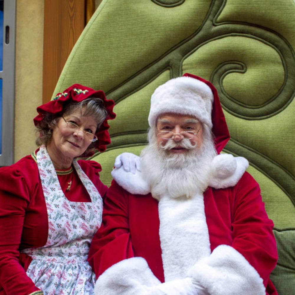 Profile thumbnail image for The Santa Experience