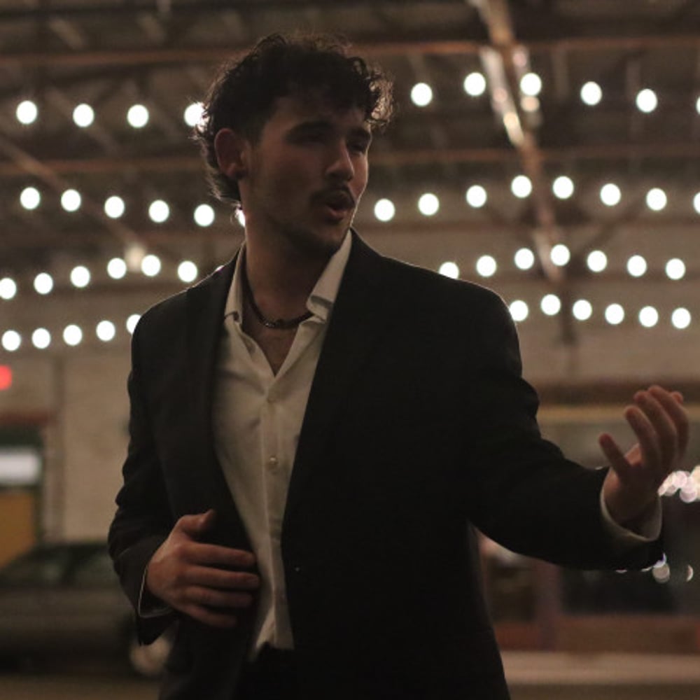 Profile thumbnail image for The Singing Violinist