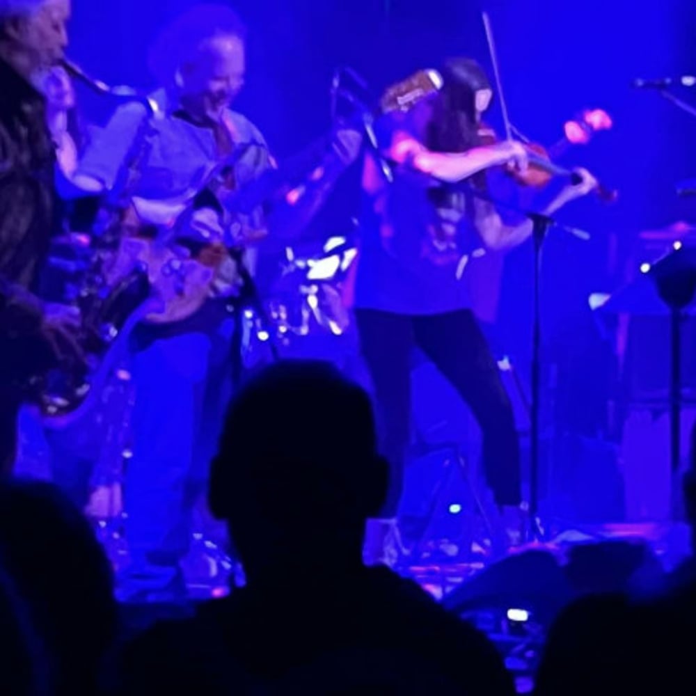 Profile thumbnail image for The Wharf Rats, Live!