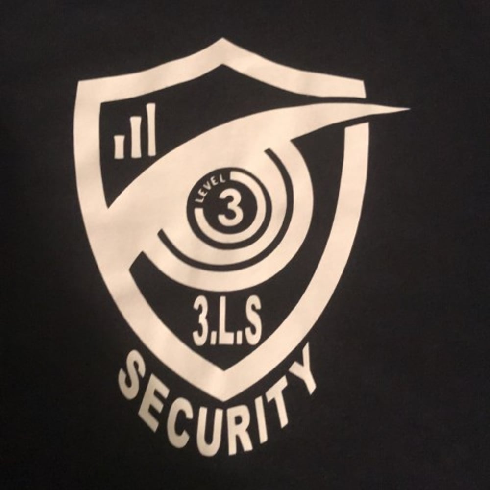 Profile thumbnail image for Three Level Security Services