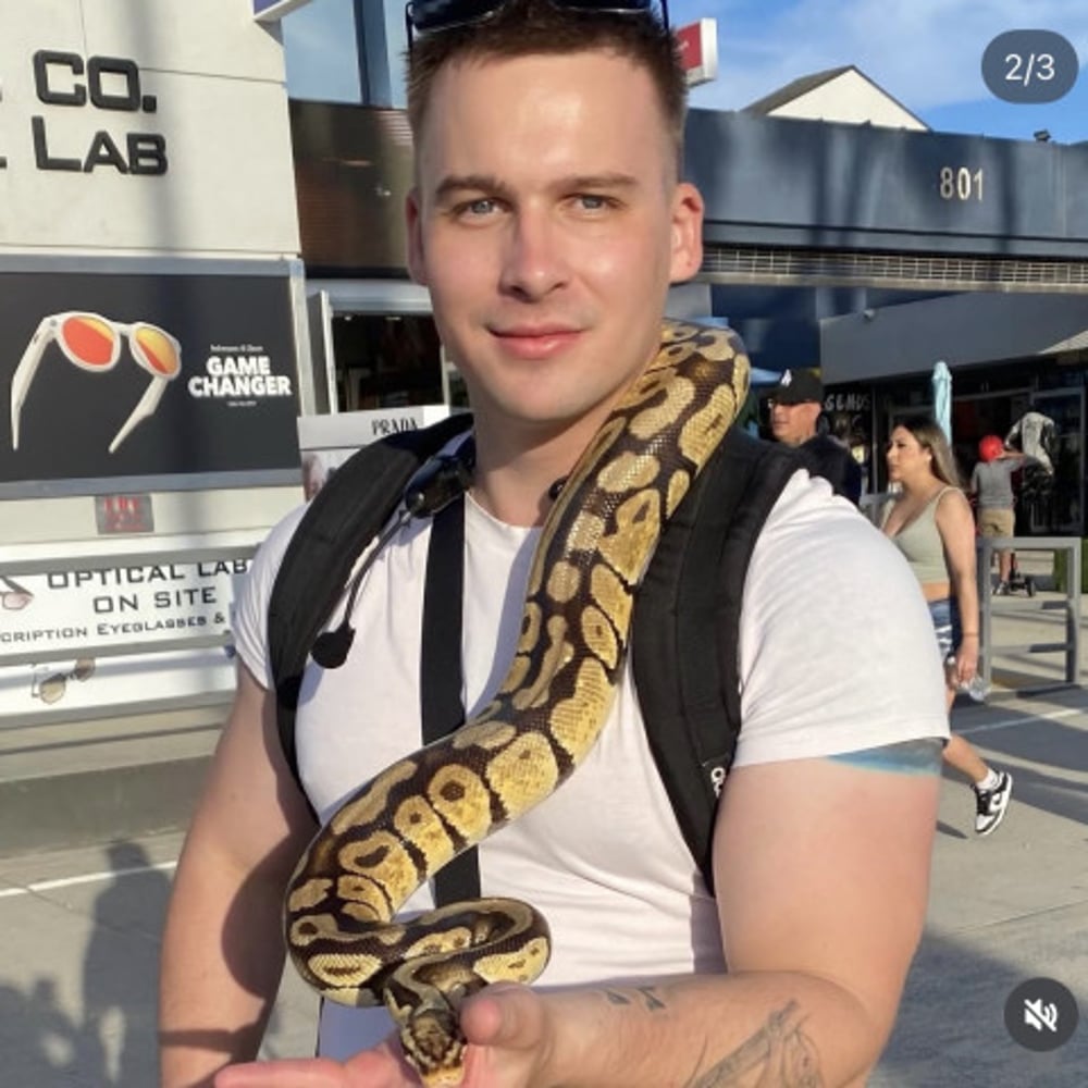 Profile thumbnail image for Vlad’s Pythons