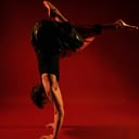 Acrobatic and Circus Specialty Performer