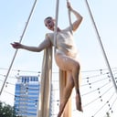Aerial Silks,  Lyra, and Pole