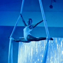 Aerialist and Trapeze Artist