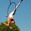 Aerialogists
