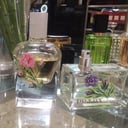 Air Style Art - Engraving and Painting