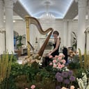 Alice Rose Statham, Harpist