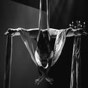 All Things Circus