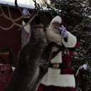 Amelia Island Santa