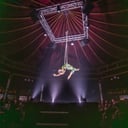 Ash Circus