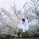 Aura Aerial Art Centre