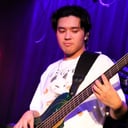 Chris Visan, Bassist for hire