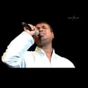 Bollywood songs Dhamaka