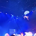 Bon Temps Cirque