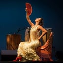 Bárbara Martínez Flamenco