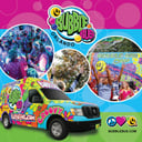 Bubble Bus Orlando