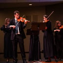 FBMS Faculty Strings