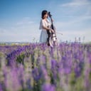 Quinn Liu, Cellist