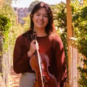 Celtic/Americana Fiddler