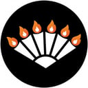 Circle City Fire