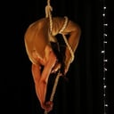 CirCompendium