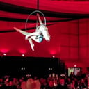 Cirque Wonderland