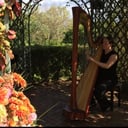 City Winds Flute and Harp  Duo