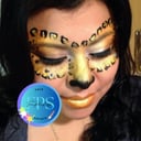 Face Painting Style