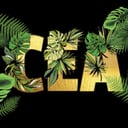 Creative Event Agency