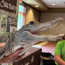 Critchlow Alligator Sanctuary
