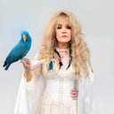Night of Nicks: The Stories. The Music. Stevie Nicks &amp; Fleetwood Mac