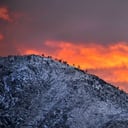 David A. Lee Photography