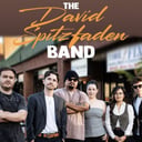 David Spitzfaden Band