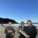 Diane Leigh Trio